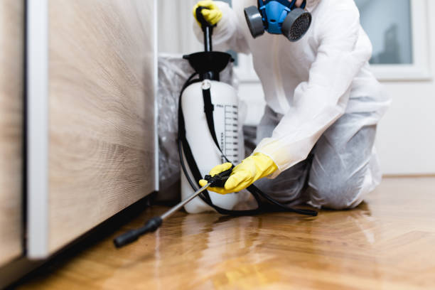 Best Cockroach Control Services  in Mechanicstown, NY