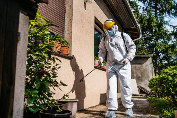 Best Rat Extermination Near Me  in Mechanicstown, NY