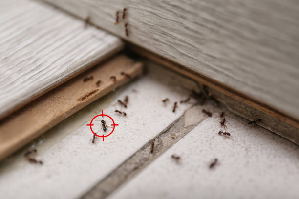 Best Pest Removal Services  in Mechanicstown, NY