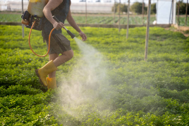 Best Pest Prevention Services  in Mechanicstown, NY