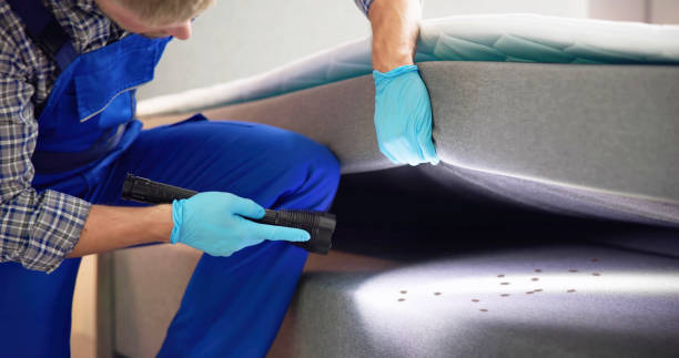 Best Insect Control  in Mechanicstown, NY