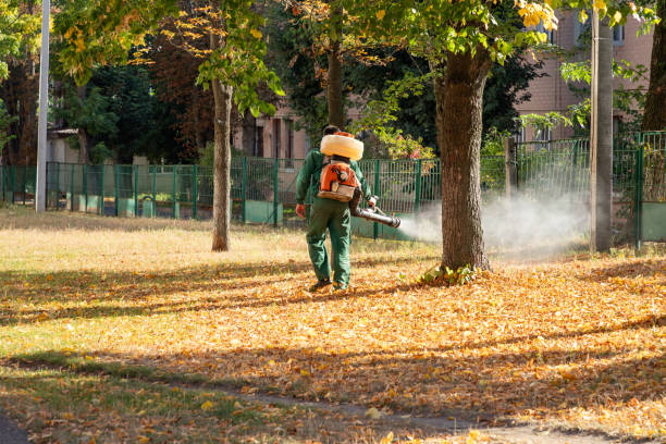 Best Local Pest Control Services  in Mechanicstown, NY