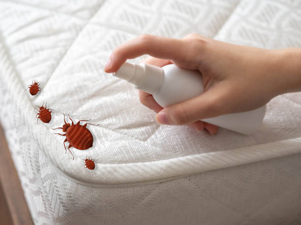 Best Pest Inspection Near Me  in Mechanicstown, NY