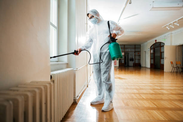 Best Wasp Removal Services  in Mechanicstown, NY