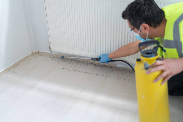 Best Affordable Pest Control Services  in Mechanicstown, NY