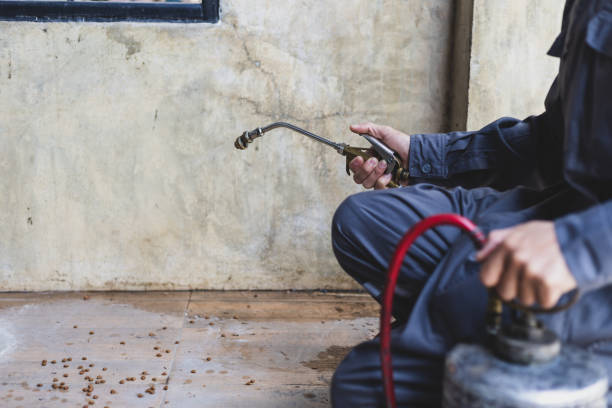 Best Rat Extermination Near Me  in Mechanicstown, NY