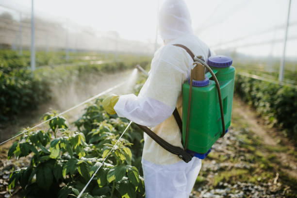 Best Affordable Pest Control Services  in Mechanicstown, NY